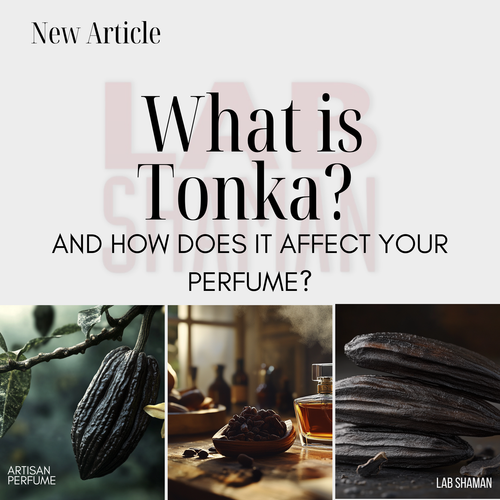 What is TONKA and How Does it Affect Your Perfume?