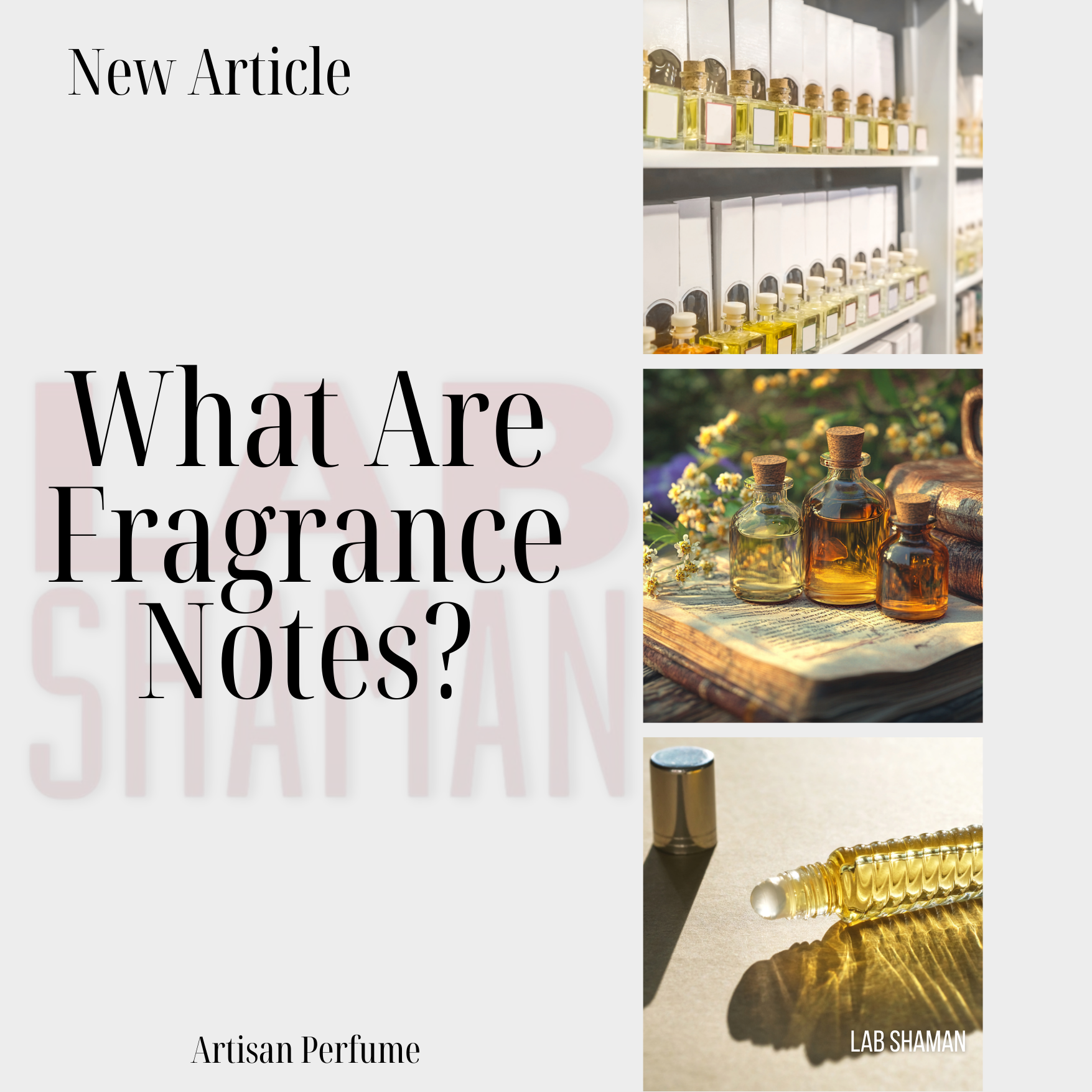 What Are Fragrance Notes?