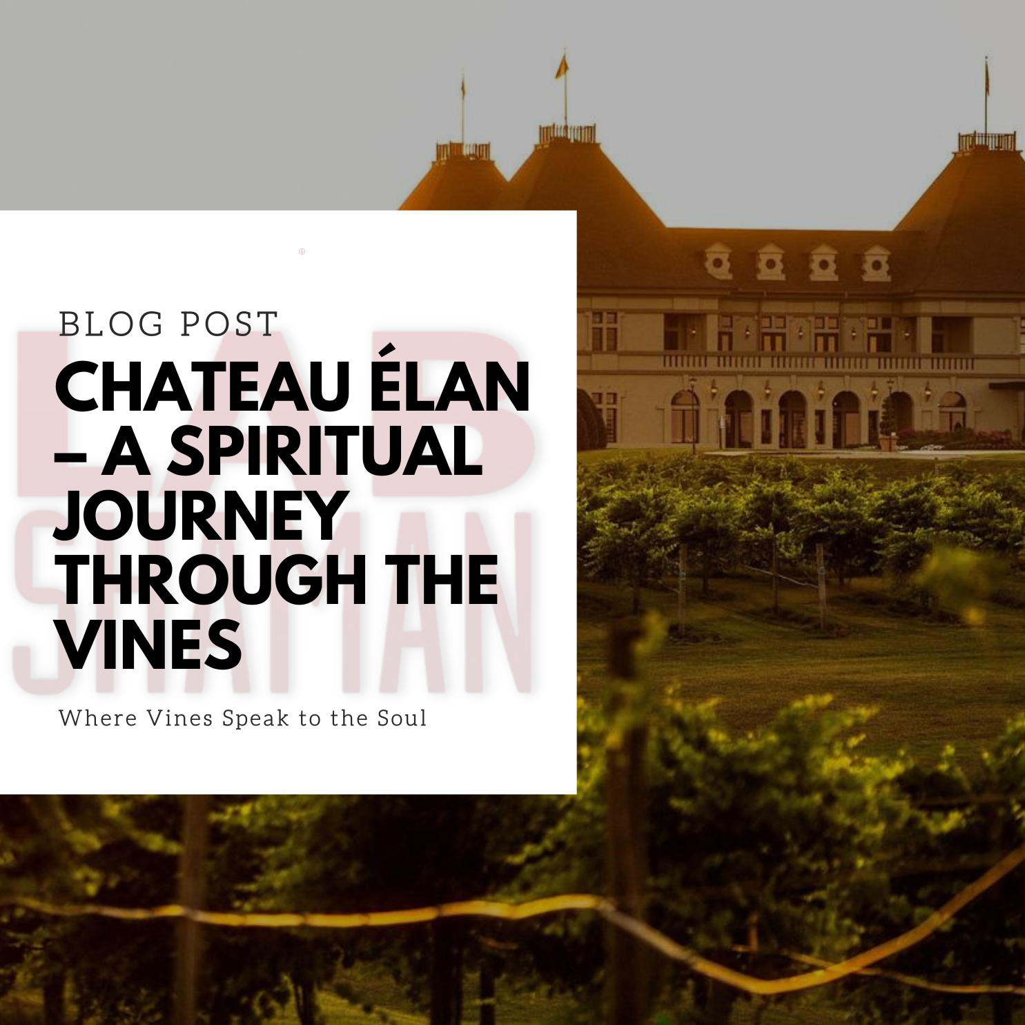 Chateau Élan – A Spiritual Journey Through the Vines