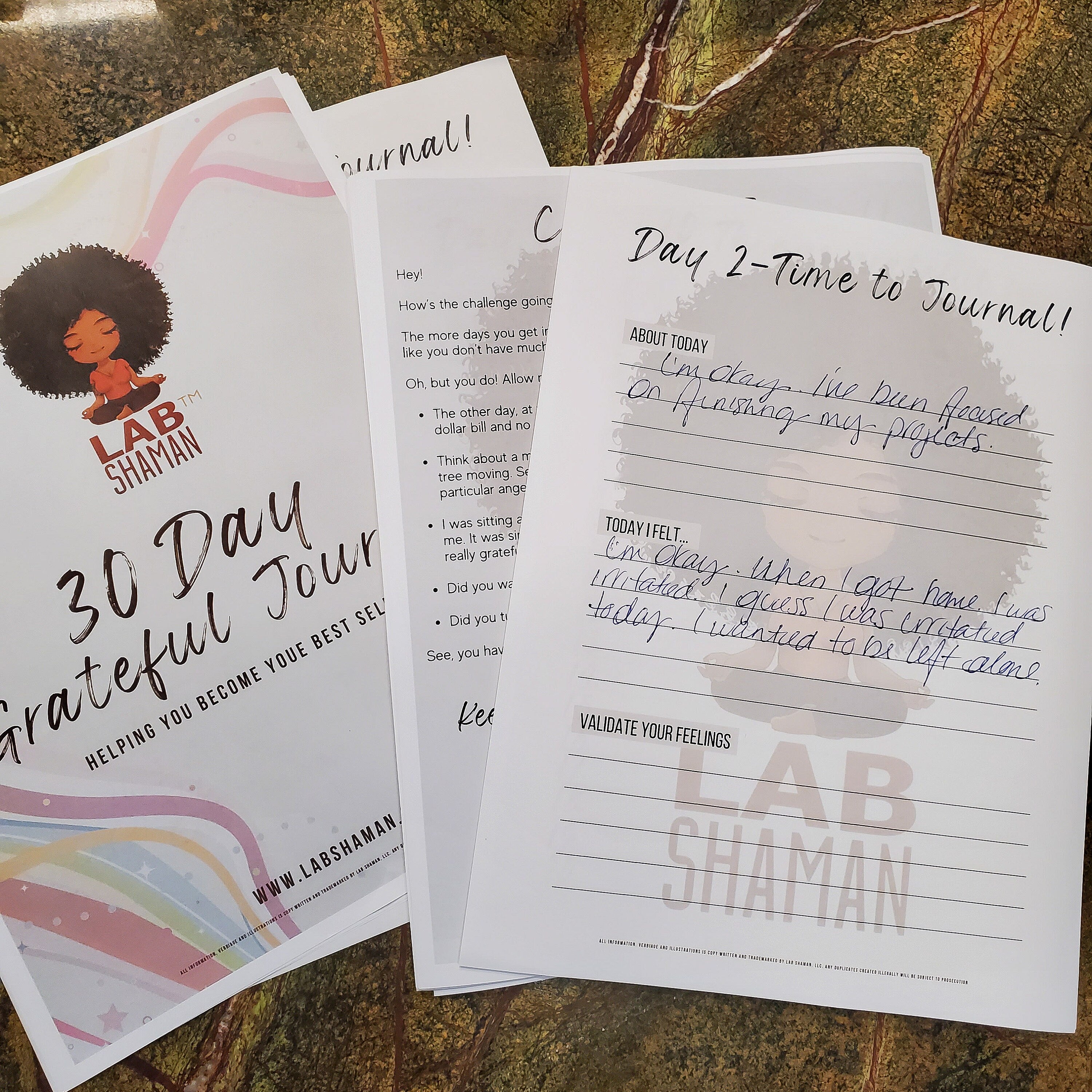 Gratitude Journal, Workbook, Life Improvement, 30 Days Challenge, Daily Mental Health, Happiness Routine, Positive Thinking, Self-Care, Self-Love, Self-Reflection, Personal Growth, Wellbeing, Mindfulness, Daily Prompts, Mental Health, LAB Shaman